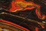 Polished Tiger Iron Stromatolite - Billion Years #129214-1